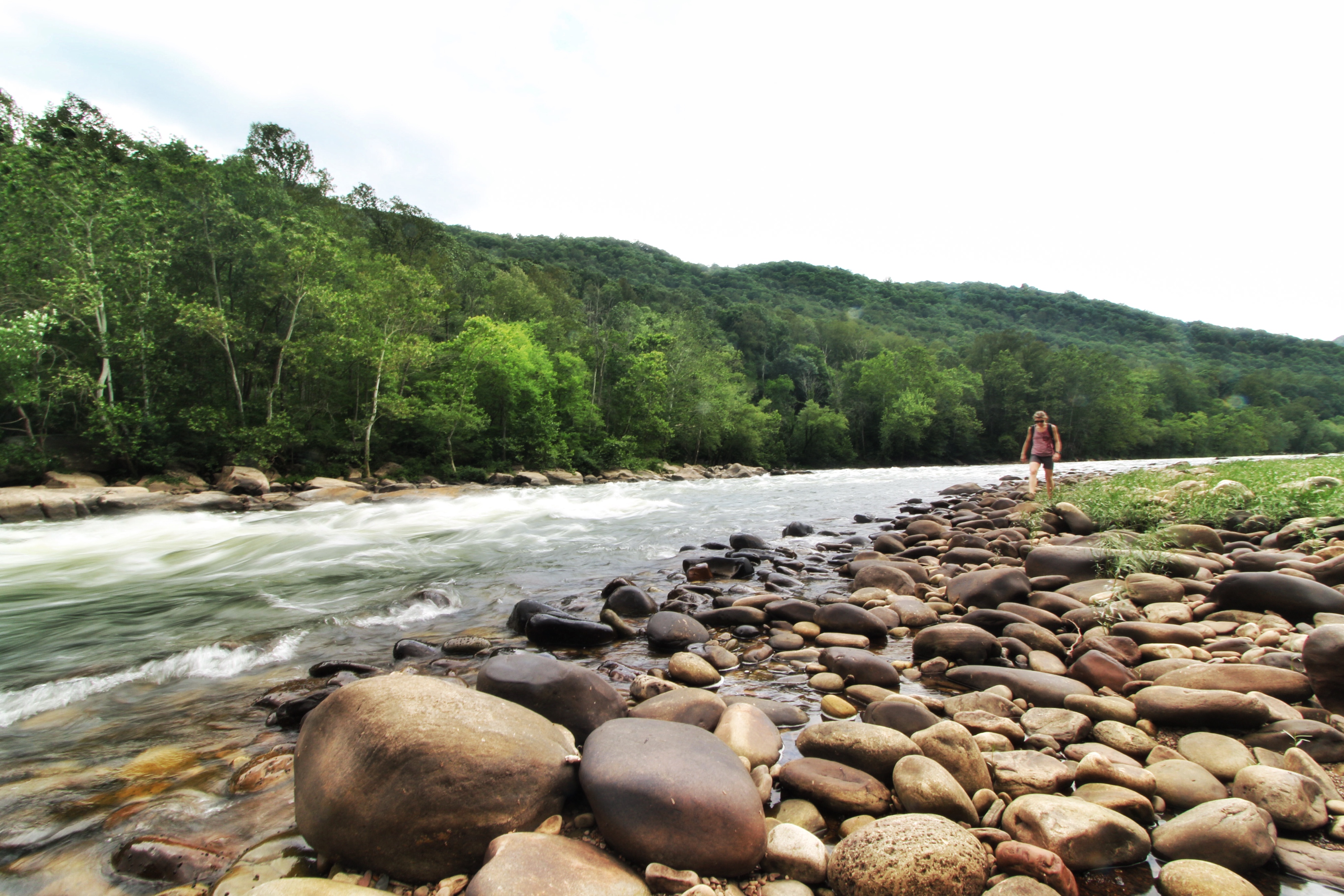 18448071784_7b5cfa8ce4_o