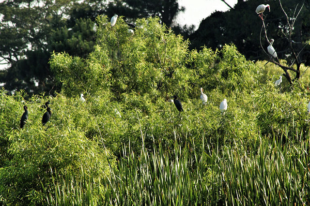 19334305976_f7376a1b5b_z